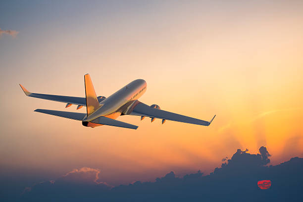 Business traveller checking a boarding pass at the gate