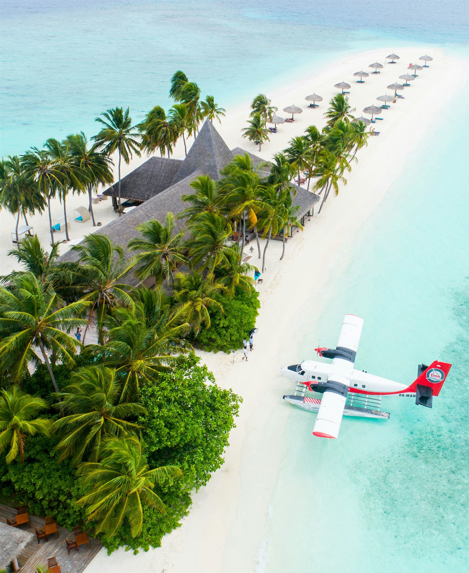 Tropical huts among palm trees