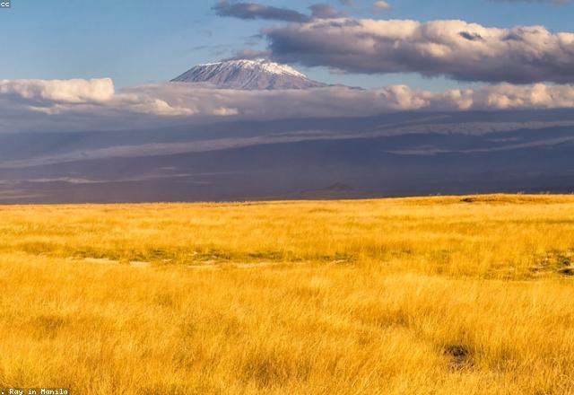 Savannah landscape in East Africa